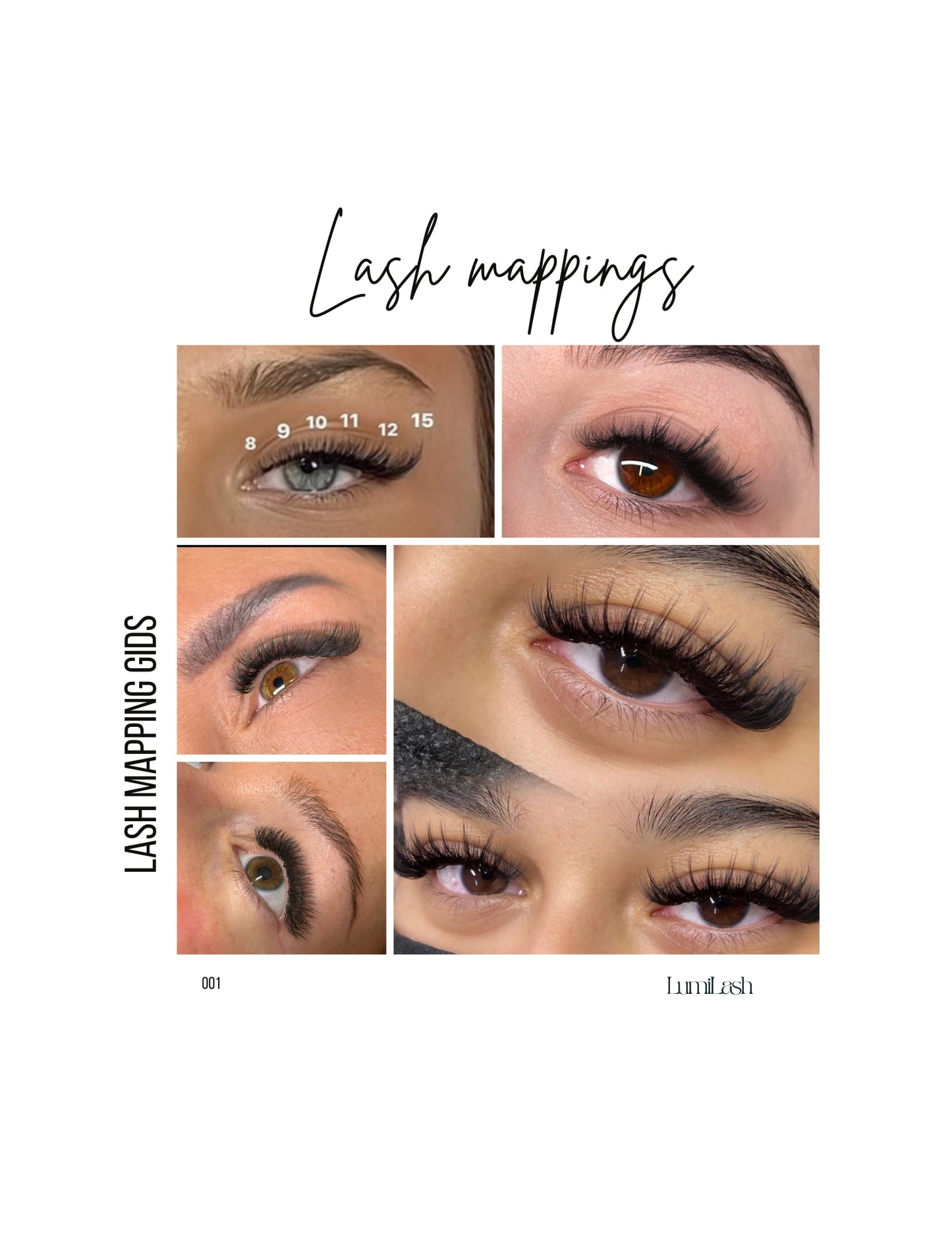 E-book Mastering Lash Mappings