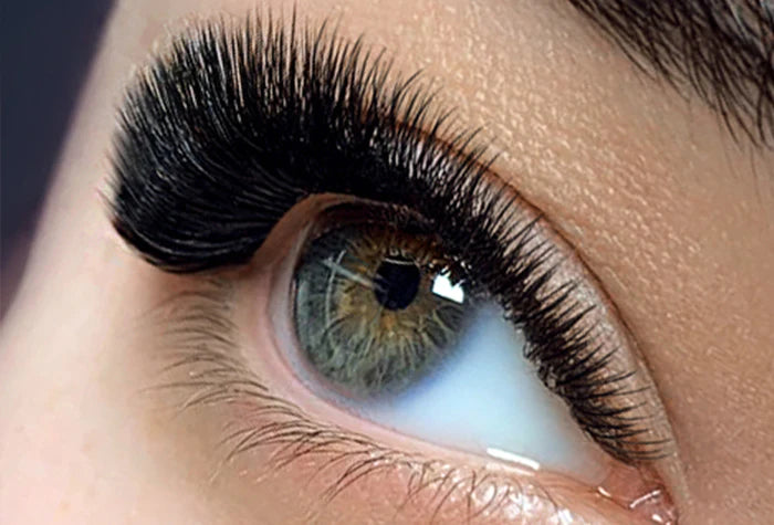 Easy Fan Volume Lashes