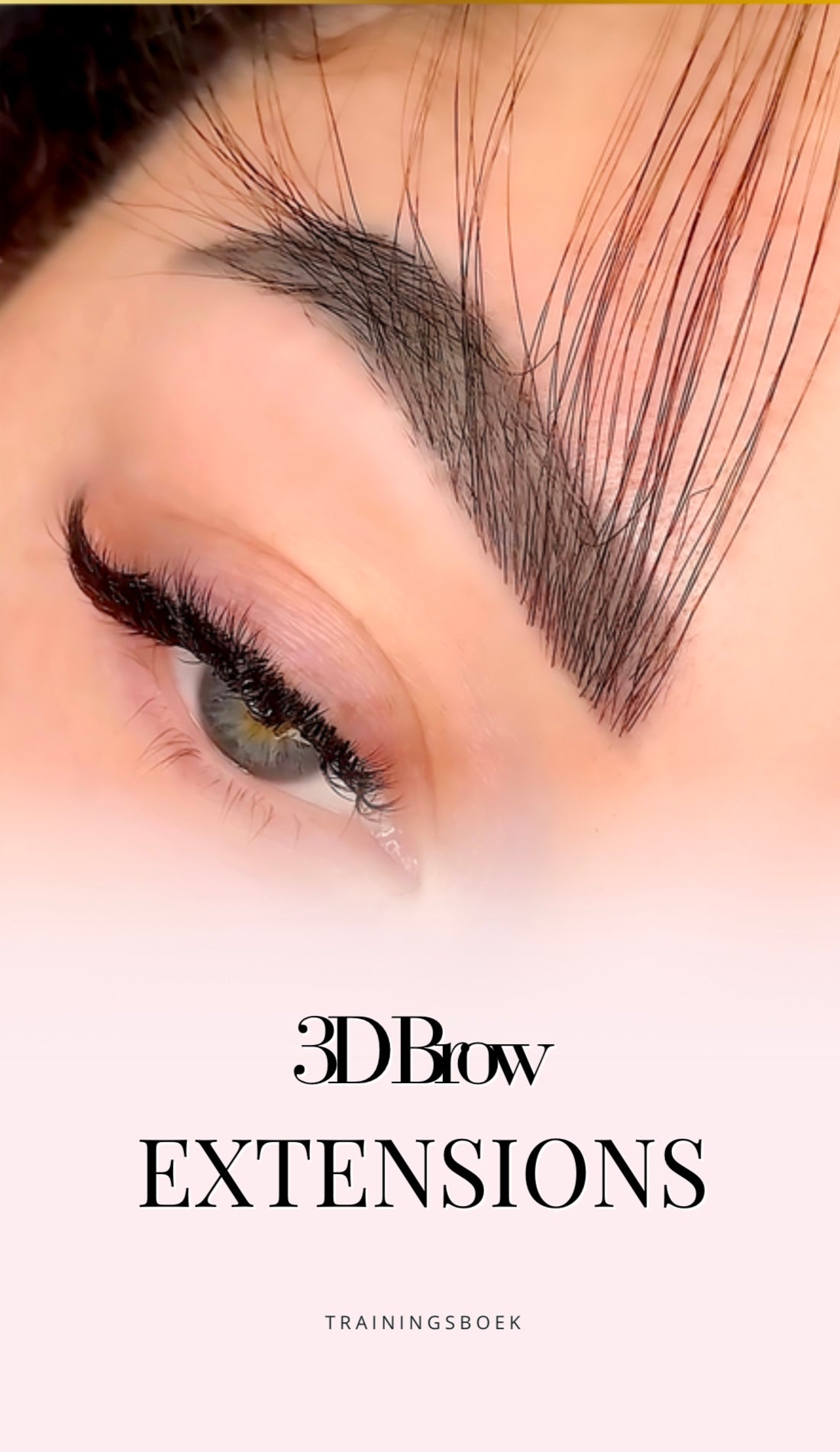 Opleiding 3d Brows
