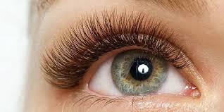 5d W-lashes Bruin